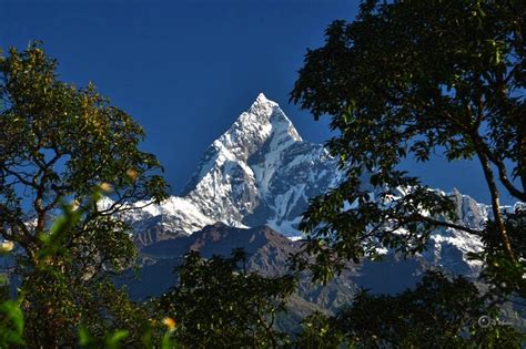 Top 5 Best Short Trekking In Nepal Blogs Tripatini
