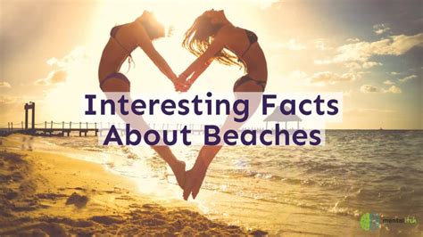 Interesting Facts About Beaches Youtube