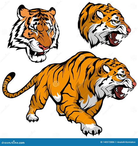 Drawing Bengal Tiger Locking Or Big Cat Vector Illustration