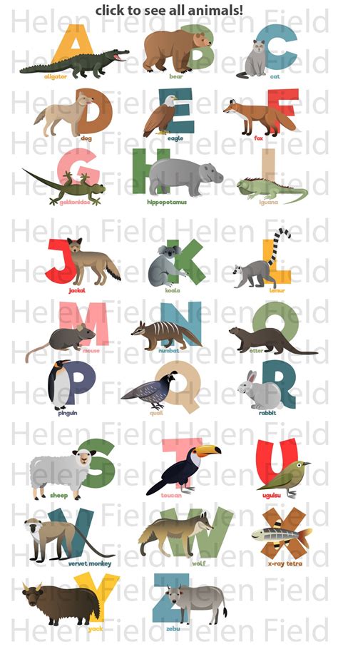Zoo Animals Alphabet Click Image Illustrations Creative Market