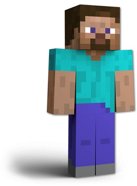 Pics Of Steve From Minecraft