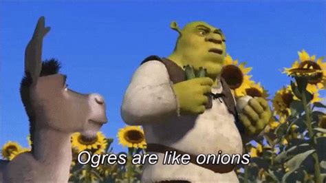 In Shrek 2001 During The Ogres Are Like Onions Scene The