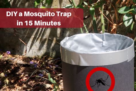 How To Make A Homemade Mosquito Trap Dengarden
