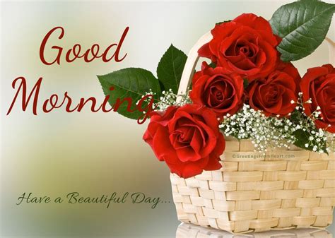 Romantic Good Morning Beautiful Roses Animaltree