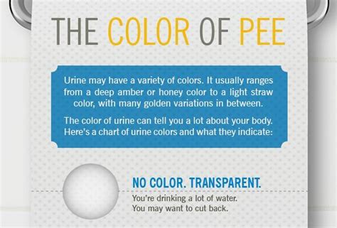 The Color Of Pee What Your Urine Says About You Infographic Third