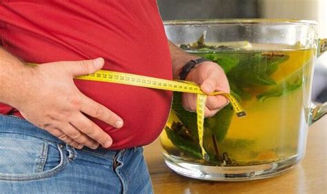 Visceral Fat Catechin Enriched Tea Shown To Shrink Belly Fat Within