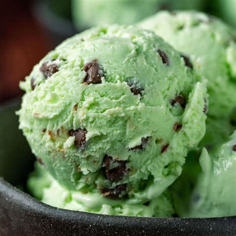 Mint Chocolate Chip Ice Cream Gimme That Flavor
