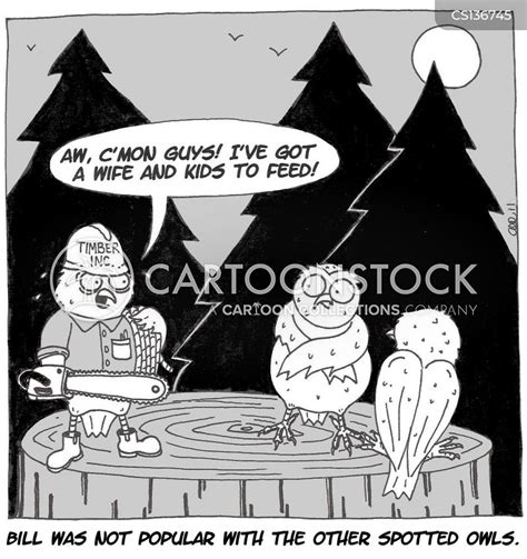 Spotted Owl Cartoons And Comics Funny Pictures From
