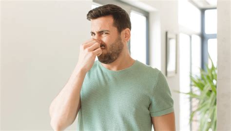 How To Get Rid Of Musty Smell In Apartment Apartment Notes