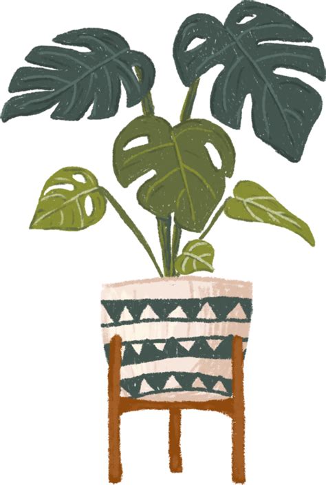 Potted Plants Bundle House Plants 11306353 Png