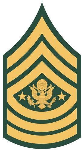 Us Army Enlisted Ranks Flashcards Quizlet