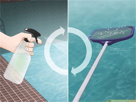 How To Keep Bugs Out Of Pool Hompros