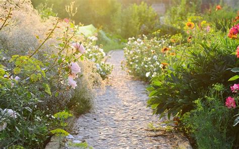 Top 10 Plants For A Modern Cottage Garden David Domoney