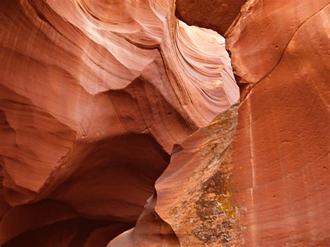 Free Images Nature Rock Wood Desert Sandstone Formation Dry