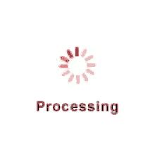 Processing Animation Gif