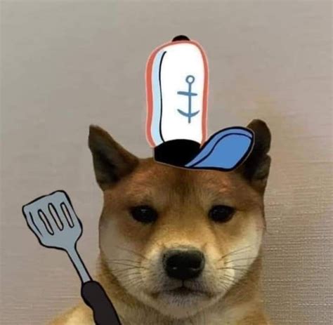 Pin By Stilly On Dog With Hat Dog Icon Dog Memes Dog Selfie