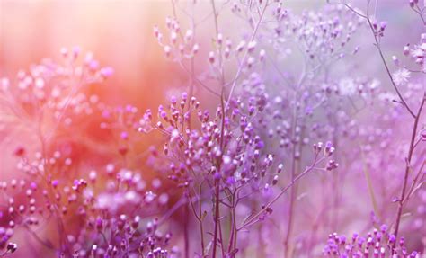 Deefinicion de fuerza concurrente • un sistema de fuerzas concurrentes es aquel para el cual existe un punto en común para todas las rectas de acción de las fuerzas componentes. Soñar con el color violeta, morado o lila: ¡empodérate!