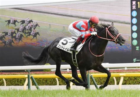 Horse Racing Undefeated Contrail Jets To Japanese Derby Victory