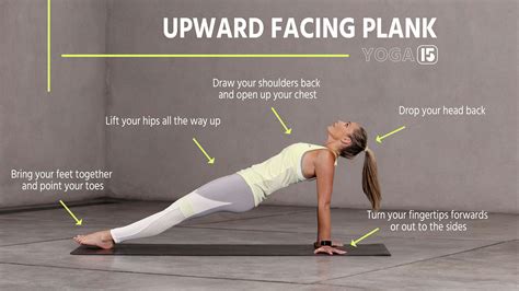 Upward Facing Plank Yoga 15 In 2021 Plank Pose Improve Posture
