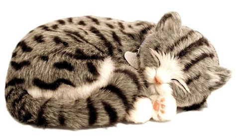 Gray Tabby Cat Life Like Stuffed Animal Breathing Cat