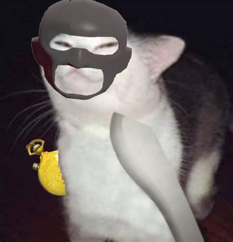 Spy Cat Rtf2
