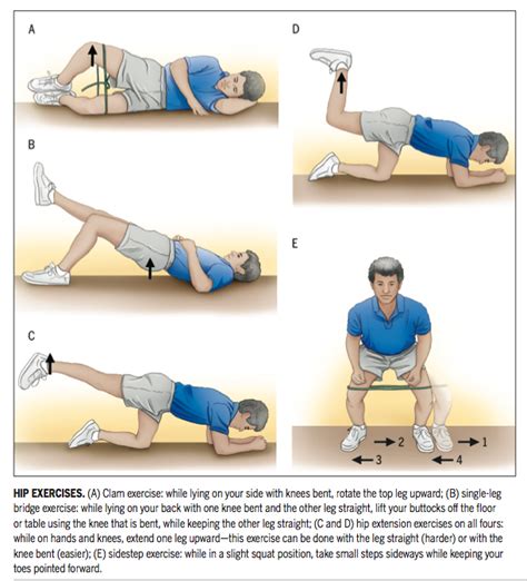 Which Exercises Target The Gluteal Muscles While Minimizing Activation