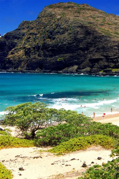 Free Download Beach Park Oahu Hawaii Iphone 44sipod Wallpaper Imgprix