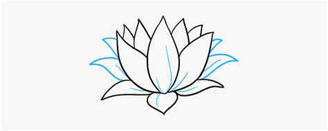 How To Draw Lotus Flower Water Lily Drawing Simple Hd Png Download