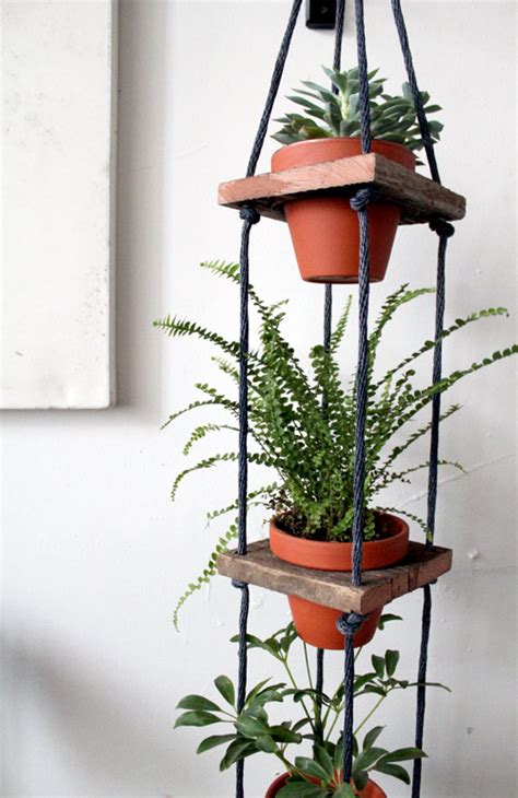 Indoor Hanging Potted Plants Gardening Forums