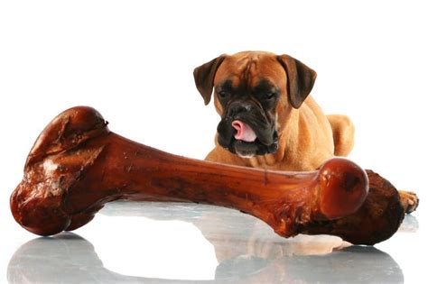 Safe Bones And Chews For Dogs Lovetoknow Pets