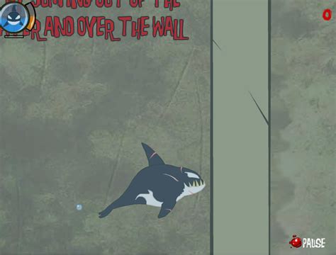 Play Killer Whale Free Online Games With Qgames Org