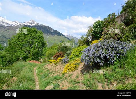Spring Slope In The Mountains Stock Photo Alamy
