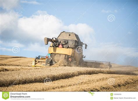 Combine Harvester In Work On Wheat Field Stock Image Image Of Country