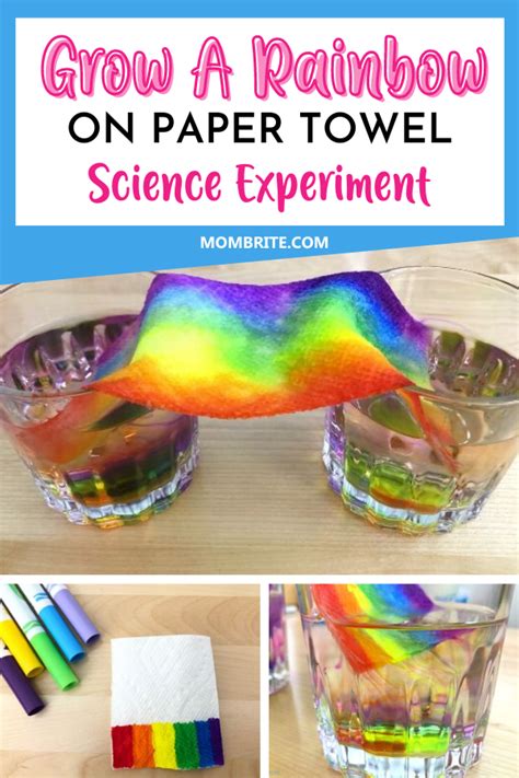 Grow A Rainbow On Paper Towel Experiment Rainbow Activities