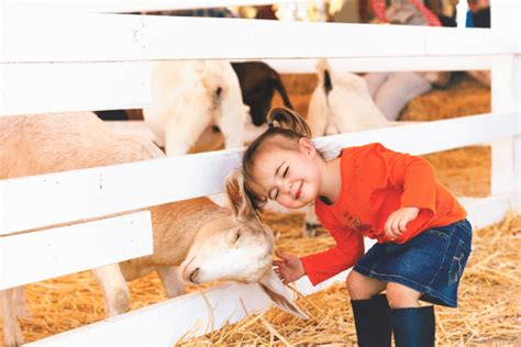 65 Cute Farm Animal Photos You Need To See Readers Digest