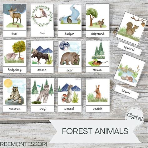Forest Animals Cards These Beautifully Designed Forest Animal Cards