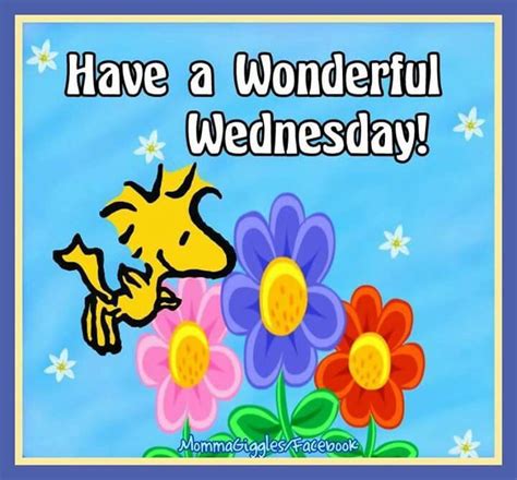 Have A Wonderful Wednesday Woodstock Quote Good Morning Wednesday Hump