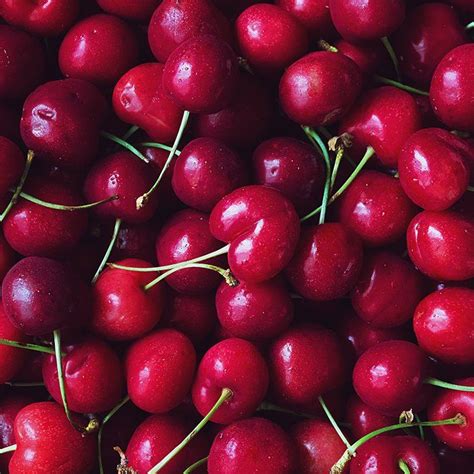 6 Reasons To Eat Cherries Health Benefits Of Cherries Superfruit