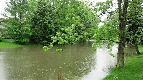 5 Tips On How To Avoid Backyard Flooding