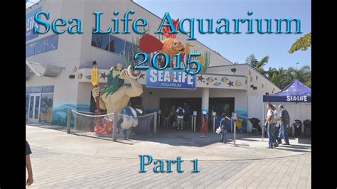Sea Life Aquarium Legoland California 2015 Part 1 Youtube