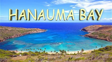 Hanauma Bay Oahu Hawaii 4k Youtube