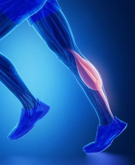 Tennis Leg Strained Calf Muscle Treatment Charschan Chiropractic