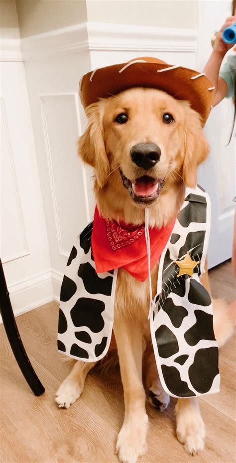 Dressed Him Up For A Toy Story Party Dog Halloween Costumes Puppy