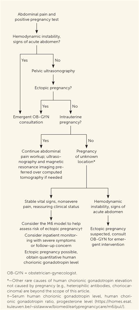 Acute Abdominal Pain In Adults Evaluation And Diagnosis Aafp