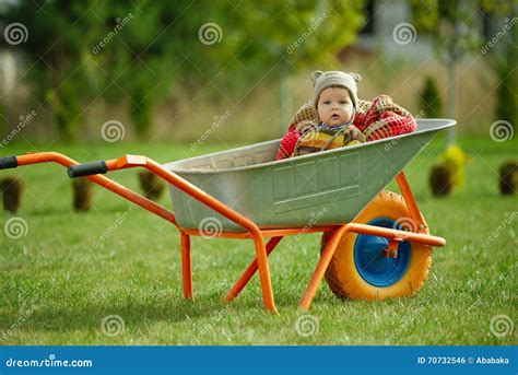 Cute Little Boy Sitting In Wheelbarrow Stock Photo Image Of Nature