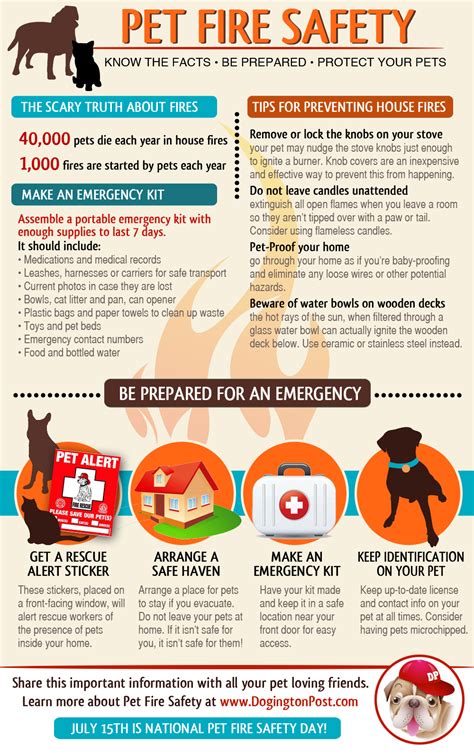 Infographic Pet Fire Safety Are You Prepared To Protect Your Pets The Dogington Post