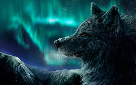Wolf Full Hd Wallpaper And Background Image 2560x1600 Id359138
