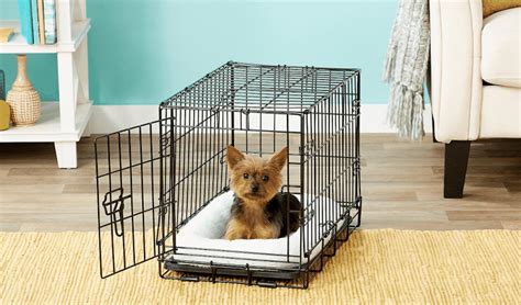 Crate Training A Yorkie Puppy The Dog Tale
