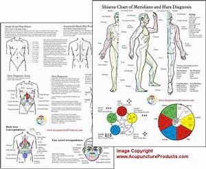 Shiatsu Chart Of Meridians And Hara Diagnosis