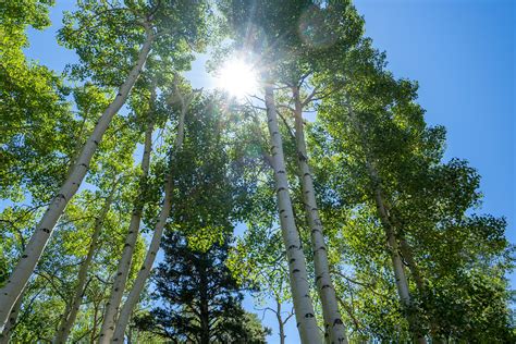 It was a comedy of errors from the start. Views of the Taos Canyon Stop RV Park | Rv parks, Taos new ...
